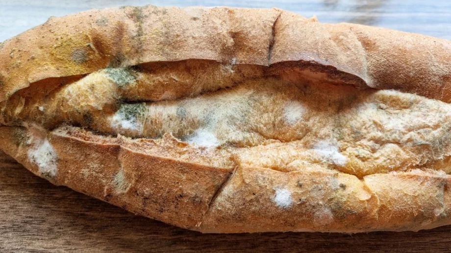 Дори да изглеждат добре: 5 храни, които могат да имат скрита плесен