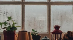 Срещу конденз: Поставете това на перваза на прозореца