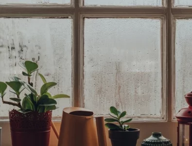 Срещу конденз: Поставете това на перваза на прозореца