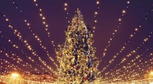 Грейна най-високото коледно дърво в света (ВИДЕО)