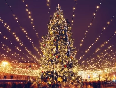 Грейна най-високото коледно дърво в света (ВИДЕО)