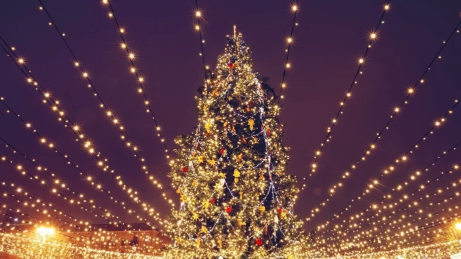 Грейна най-високото коледно дърво в света (ВИДЕО)