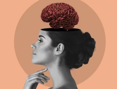 Ново откритие: Четири са ключовите възрасти за мозъка