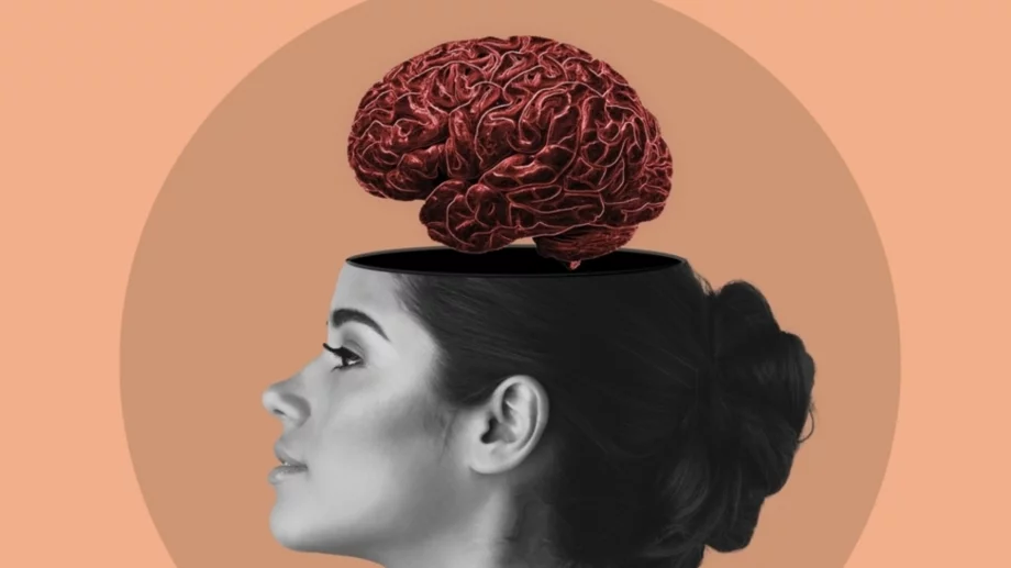 Ново откритие: Четири са ключовите възрасти за мозъка