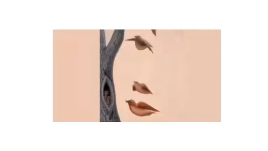Жена, птици или дърво: Това, което видите първо, разкрива непознати страни от характера ви