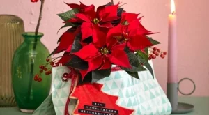 Идеи за подаръци, украсени с коледна звезда 