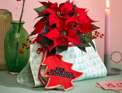 Идеи за подаръци, украсени с коледна звезда 