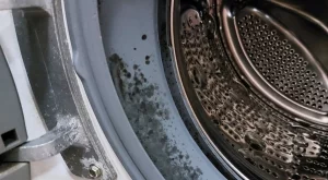 Защо се появява мухъл по вратата на пералнята и как да го предотвратите