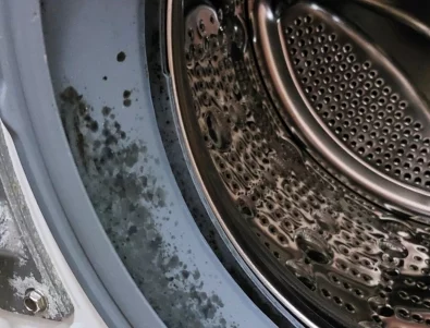 Защо се появява мухъл по вратата на пералнята и как да го предотвратите