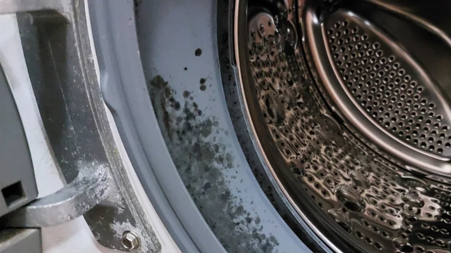 Защо се появява мухъл по вратата на пералнята и как да го предотвратите