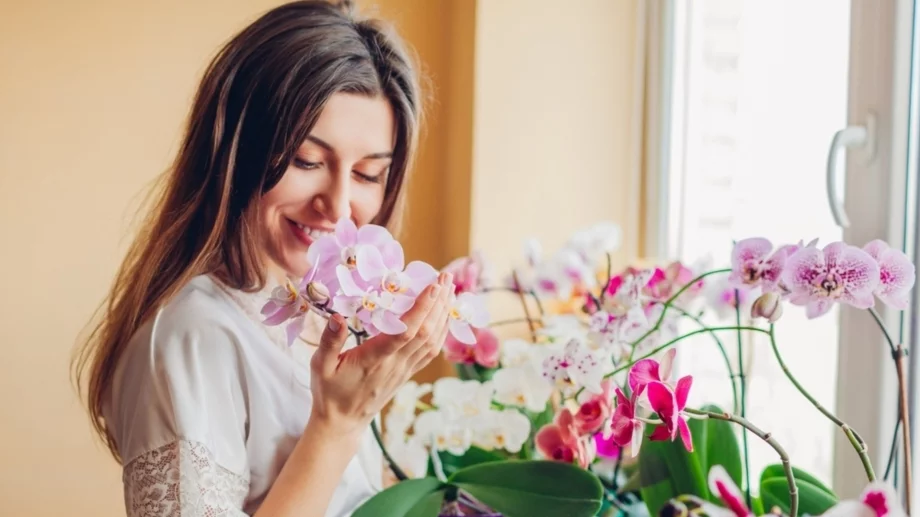 Просто го поръсете отгоре и вашата орхидея ще започне да цъфти