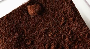 Сложете купичка кафе в хладилника и ще решите често срещан проблем