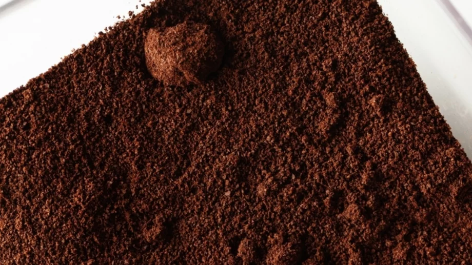 Сложете купичка кафе в хладилника и ще решите често срещан проблем