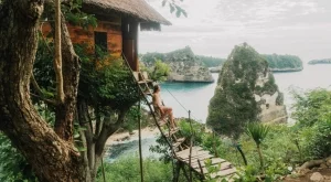 Какъв е принципът, по който функционира септичната яма? 