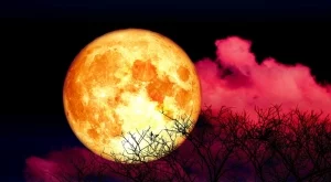 Астрология: Пълнолунието на 3 март 2026 носи съдбоносни промени 