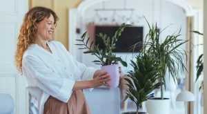 5 растения за изчистване на отрицателната енергия от дома ви