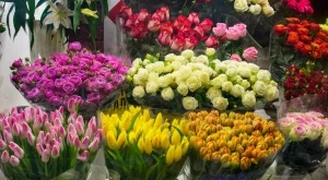 Скритите бодли на цветната индустрия 