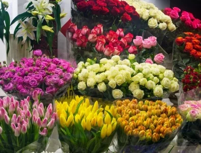 Скритите бодли на цветната индустрия 