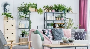 5 стайни растения, които притежават суперсили