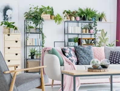 5 стайни растения, които притежават суперсили