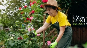 Защо дворът ви изглежда мръсен, дори след почистване?