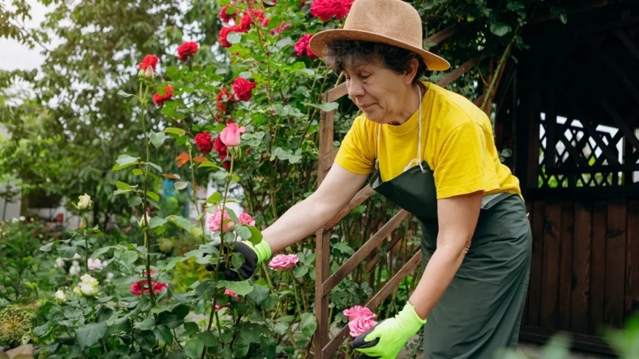 Защо дворът ви изглежда мръсен, дори след почистване?