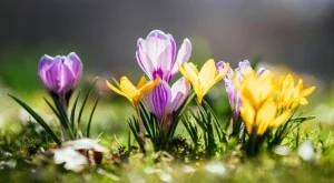 Посрещаме астрономическата пролет