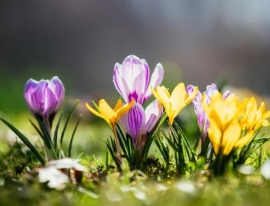 Посрещаме астрономическата пролет