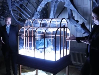 За първи път: Изработиха чанта с колаген от динозавър (ВИДЕО)