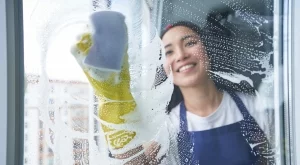 Domestina: Ключът към чистия дом