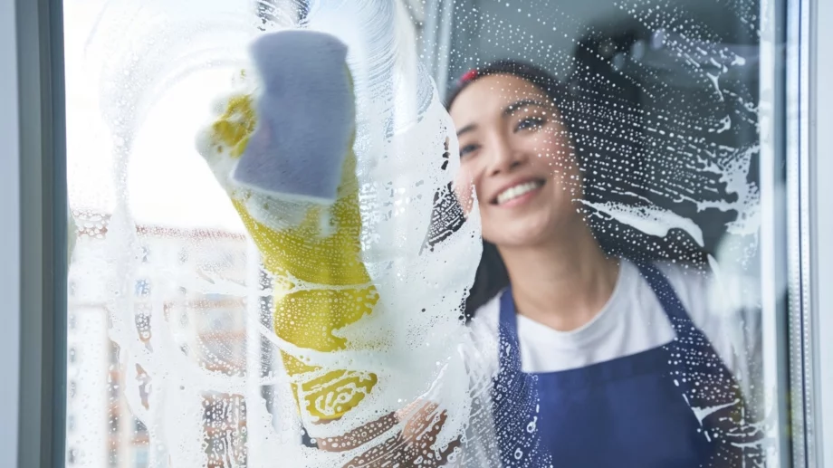 Domestina: Ключът към чистия дом