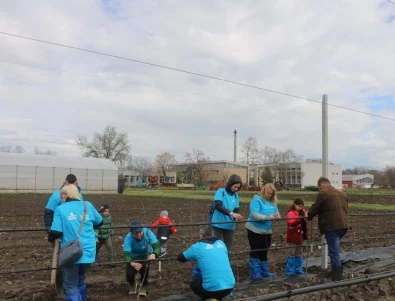 В „Синята гора“ на ОББ вече има и плодни дръвчета