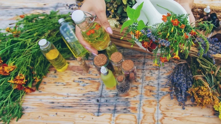 Природата знае най-добре: 5 вълшебни билки за женското хормонално здраве