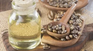 Защо хиляди хора започнаха да слагат рициново масло в пъпа си всяка вечер?