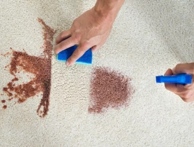 Без прахосмукачка: С този продукт ще почистите килима за 10 минути без дори да го махате от пода