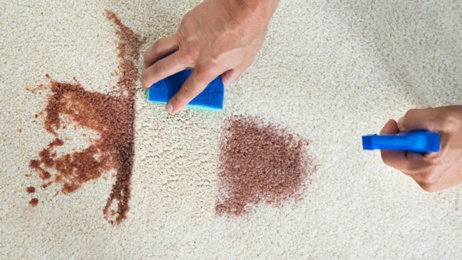 Без прахосмукачка: С този продукт ще почистите килима за 10 минути без дори да го махате от пода