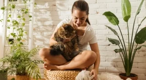 Защо котката следва стопанина си в банята - ветеринар разкри каква е причината