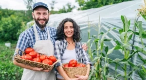 Плодове и зеленчуци, които на практика растат сами в оранжерия